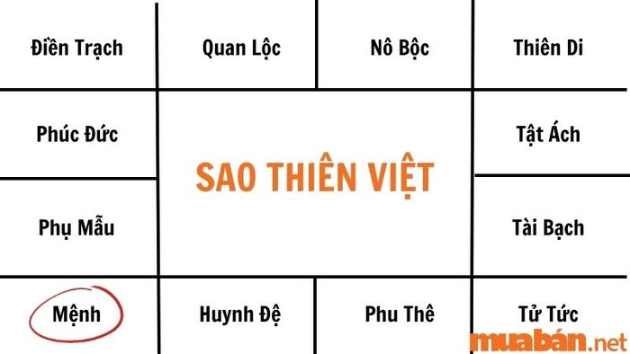 Sao Thiên Việt ở cung Mệnh giúp đạt được thành công trong cuộc sống