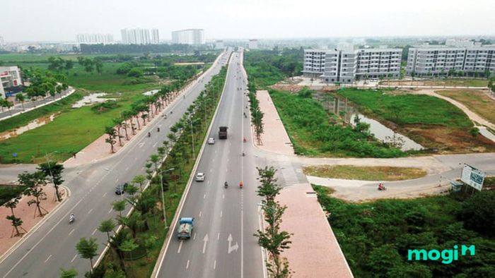 Long mạch là gì? Long mạch thu hút nhà đầu tư như thế nào?