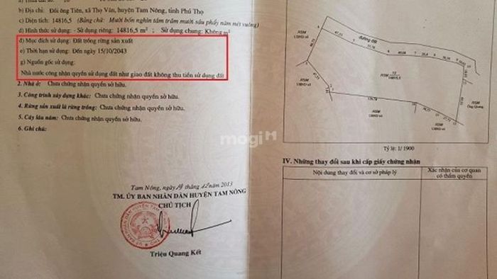 Chỉ mua đất rừng sản xuất khi có đủ giấy tờ hợp pháp và rõ ràng