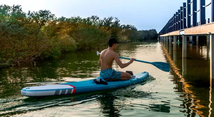 Kayaks and stand-up paddleboards offer a fantastic way to discover the beauty of the mangroves up close.