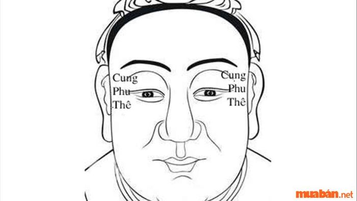 Cung Phu Thê