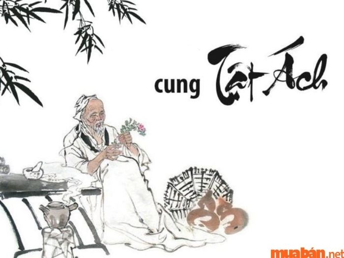 Khám phá ý nghĩa của sao Thai Phụ và Phong Cáo khi ở Cung Tật Ách.