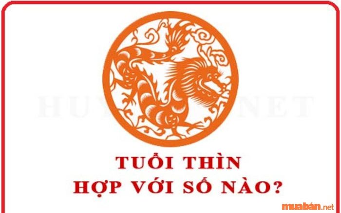 Tuổi Giáp Thìn 1964 hợp với các con số 3, 4 và 9.