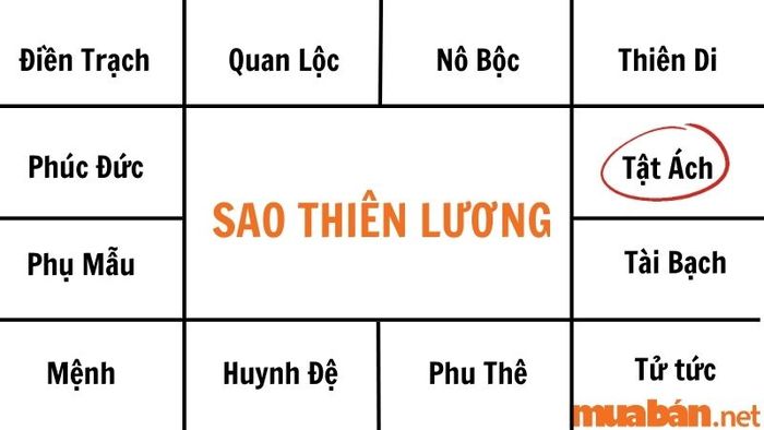 Ý nghĩa sao Thiên Lương ở cung Tật Ách