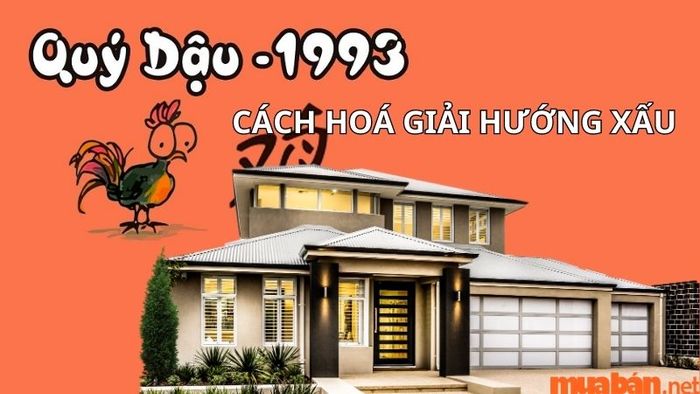 Các cách hóa giải hướng nhà xấu cho gia chủ sinh năm 1993 sẽ giúp cải thiện vận khí và tạo ra một không gian sống hài hòa, thuận lợi hơn.