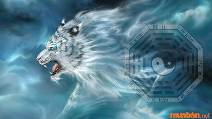 Ý nghĩa chòm Sao Bạch Hổ