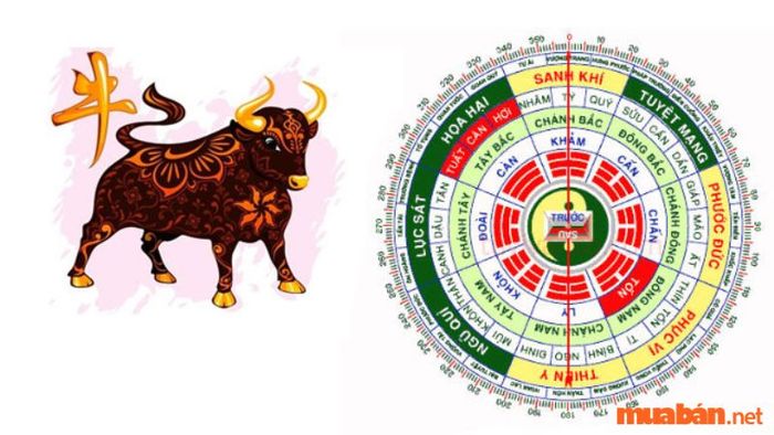 Đặc điểm nổi bật của người sinh năm Quý Sửu 1973