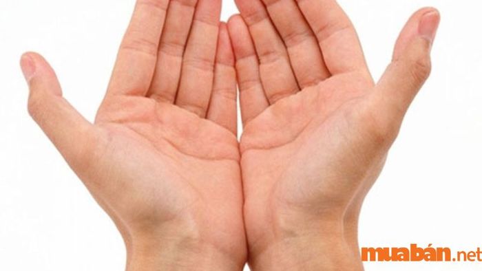 Trên bàn tay có nhiều gò khác nhau