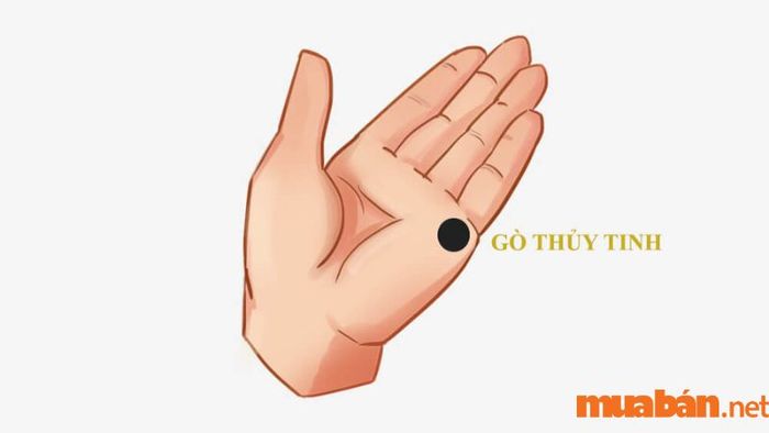 Gò Kim Tinh nhô cao là biểu hiện của những người sống thiên về tình cảm, luôn coi trọng mối quan hệ và tình yêu thương trong cuộc sống.