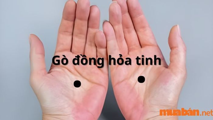 Gò Đồng hỏa tinh phát triển tốt thường cho thấy một người có tính cách mạnh mẽ, quyết đoán và kiên định trong mọi quyết định.