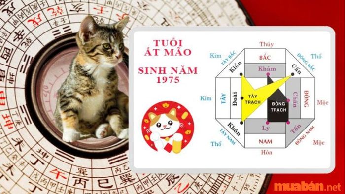 Những hướng xấu cần tránh cho nữ tuổi Ất Mão 1975