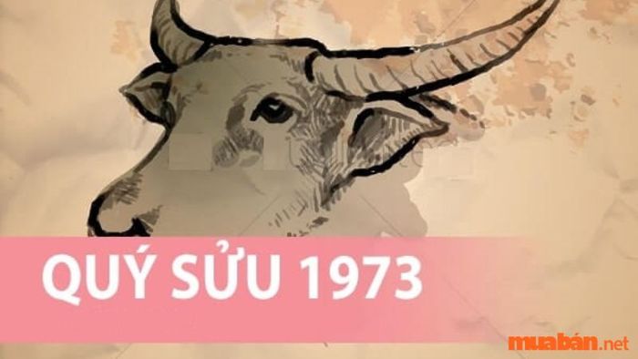 Tổng quan về số phận và tính cách của người tuổi Quý Sửu 1973