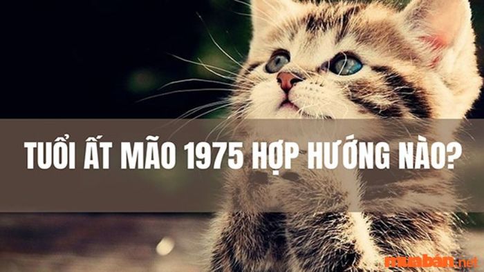 Những hướng xấu cần tránh cho nam tuổi Ất Mão 1975