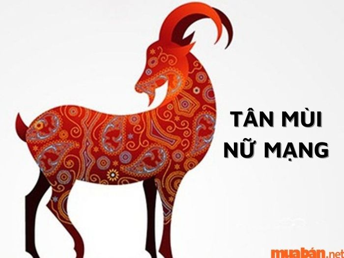 Nữ gia chủ Tân Mùi 1991 hợp với hướng nào?