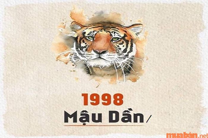 Khám phá những đặc điểm cơ bản về nam sinh năm 1998, Mậu Dần.