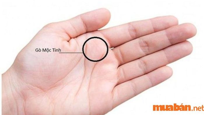 Gò Mộc tinh còn phản ánh khả năng lãnh đạo, sự quyết đoán và tinh thần nhiệt huyết trong công việc.