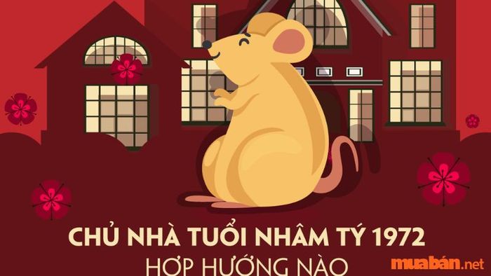 Hướng nào hợp với người sinh năm 1972 khi xây nhà?