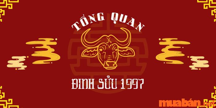 Nữ 1997 nên chọn chồng tuổi nào để có một cuộc đời viên mãn? Đây là tổng quan về cuộc sống của nữ Đinh Sửu.