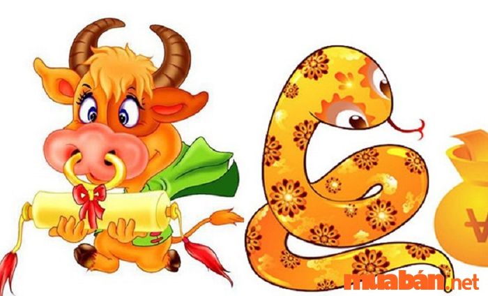 Nữ 1997 lấy chồng tuổi nào hợp? Hôn nhân giữa nam 1989 và nữ 1997 sẽ ra sao?