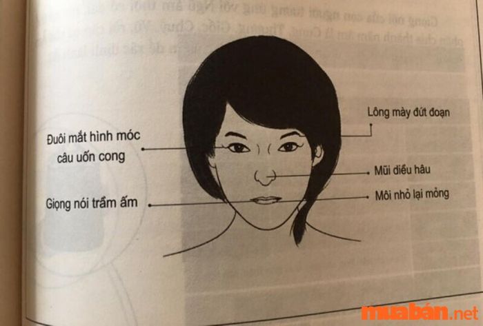 Nhân tướng học phụ nữ: Tướng mặt phụ nữ thủ đoạn
