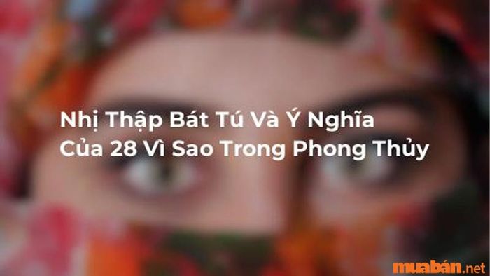 Khám phá Nhị Thập Bát Tú và tìm hiểu ý nghĩa của 28 vì sao trong phong thủy
