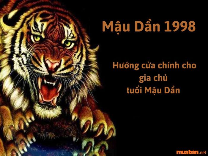 Người tuổi Mậu Dần 1998 nên chọn hướng nào khi bố trí nhà cửa?