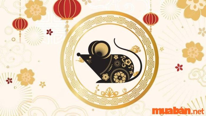 Tuổi Tý hợp màu gì?