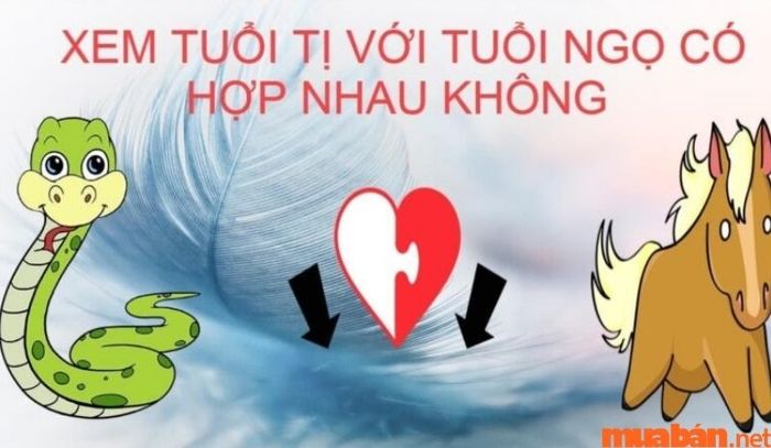 Nam Tân Tỵ kết hôn với nữ Nhâm Ngọ mang lại cuộc sống hạnh phúc và ổn định về vật chất.