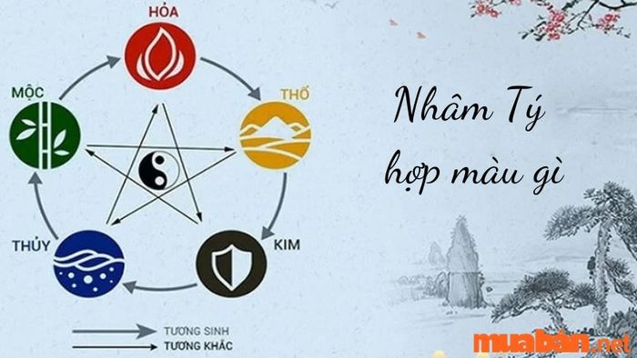 Màu sắc nào hợp với tuổi Tý?