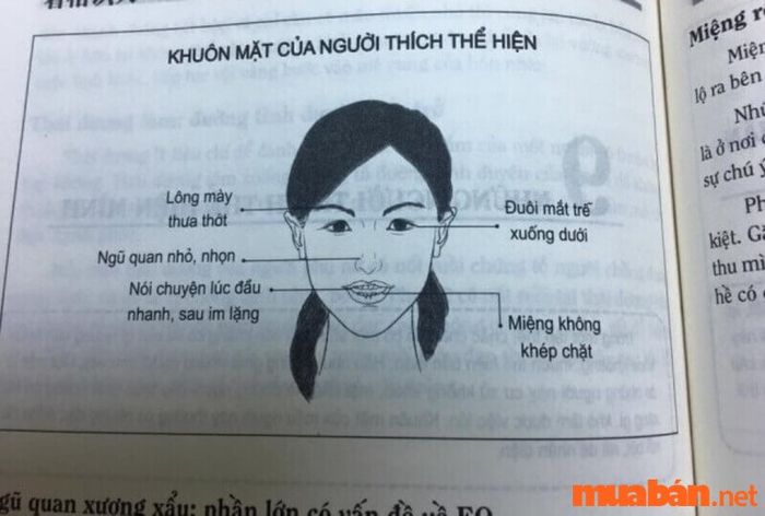 Nhân tướng học phụ nữ: Tướng mặt phụ nữ thích thể hiện