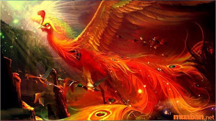 Chòm sao Chu Tước trong Nhị Thập Bát Tú