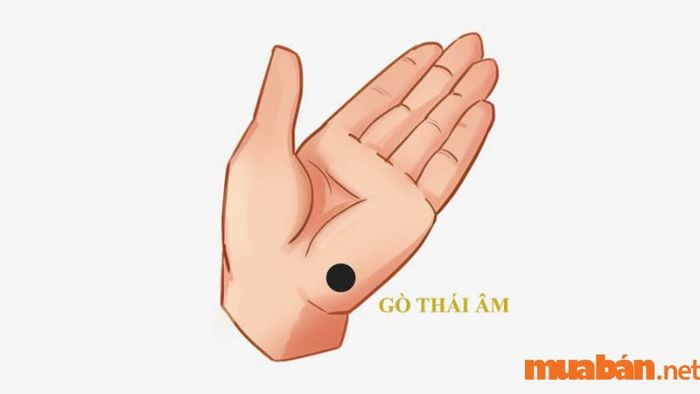 Gò Thái âm thể hiện nội tâm sâu sắc và tinh thần vững vàng của người sở hữu.