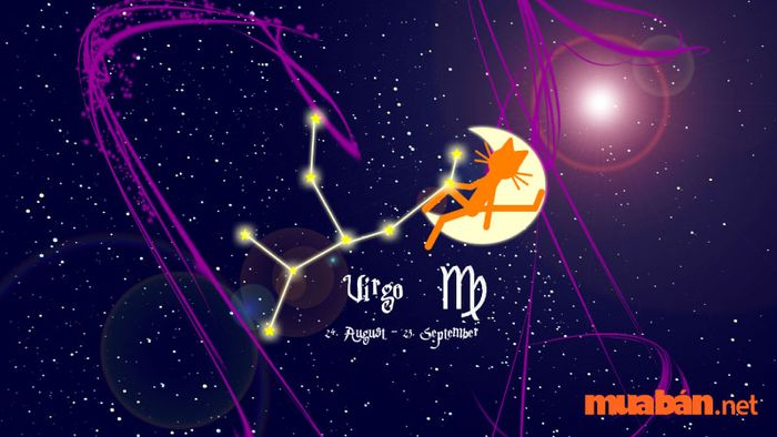 Xử Nữ hợp với cung nào?