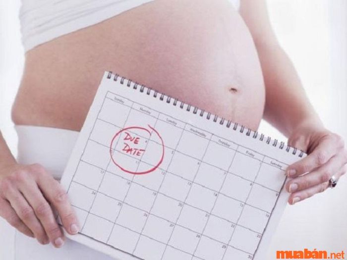Chọn năm sinh con theo vòng tràng sinh