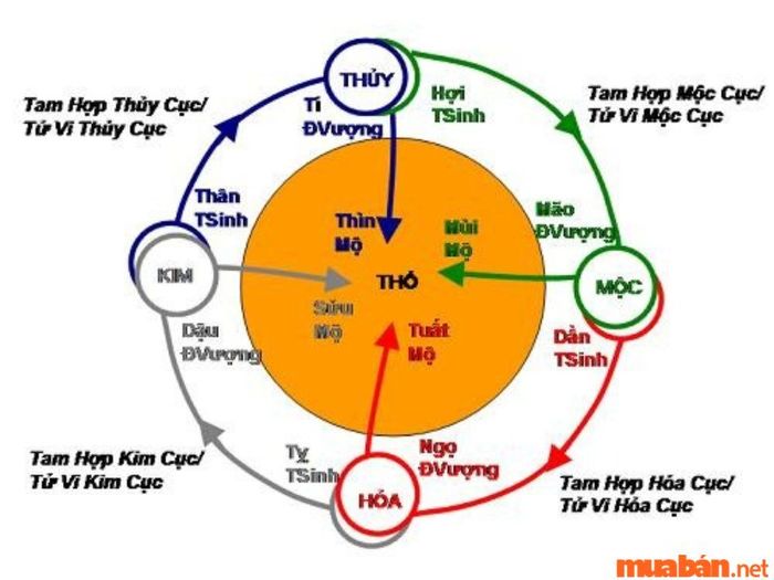 Chi tiết phương pháp an sao vòng Tràng sinh