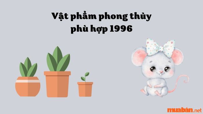 Cây phong thủy cho gia chủ Bính Tý