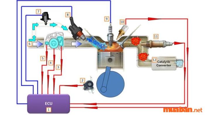Nguyên lý hoạt động của bộ điều khiển điện tử ECU