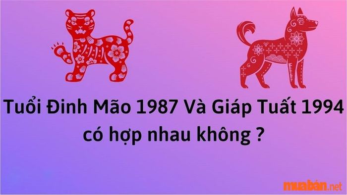 Nữ 1994 khi kết hôn, tuổi của chồng có hợp không – Nam Đinh Mão
