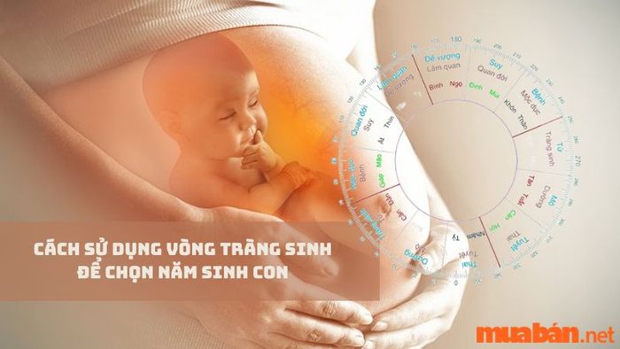 Vòng tràng sinh có ý nghĩa gì?