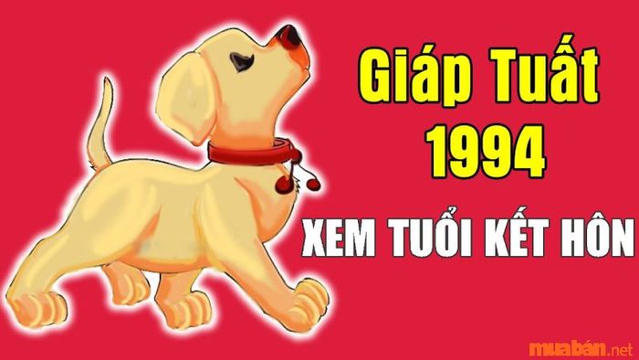 Nữ 1994 khi chọn chồng, nên tìm hiểu tuổi nào hợp để có cuộc sống đầy đủ, sung túc, an yên.