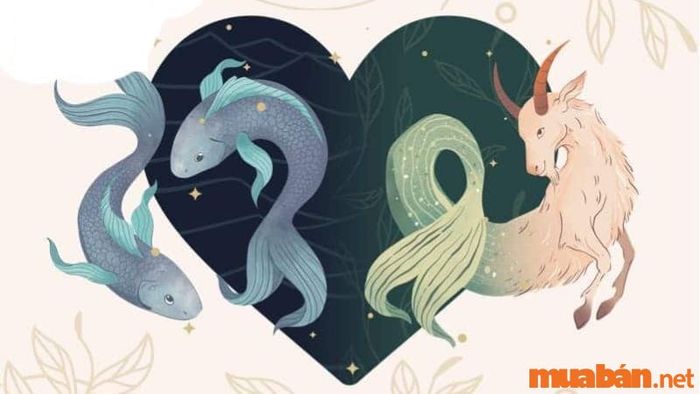 Liệu Ma Kết và Song Ngư có thực sự hòa hợp trong tình yêu?