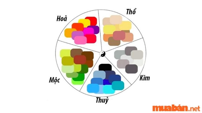 Tuổi Tý hợp với những màu sắc nào?