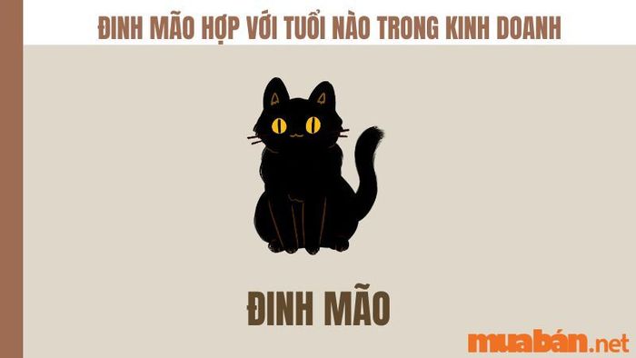 Đinh Mão hợp với tuổi nào trong kinh doanh?