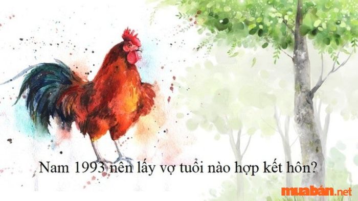 Nam sinh năm 1993 hợp với tuổi nào trong hôn nhân?