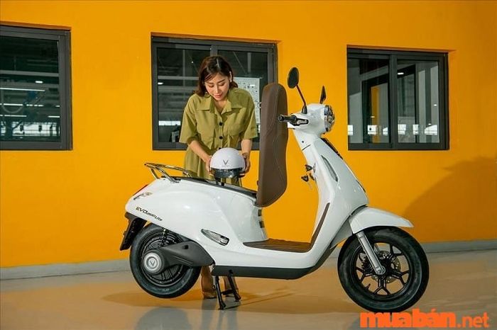 Bao nhiêu tuổi được đi xe máy 50cc?