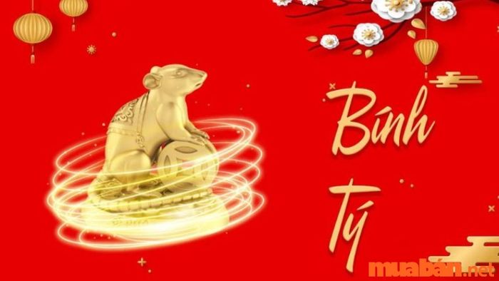 Tuổi Tý hợp màu gì