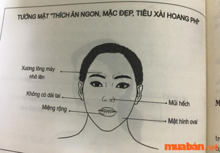 Nhân tướng học phụ nữ: Tướng mặt phụ nữ tiêu xài hoang phí