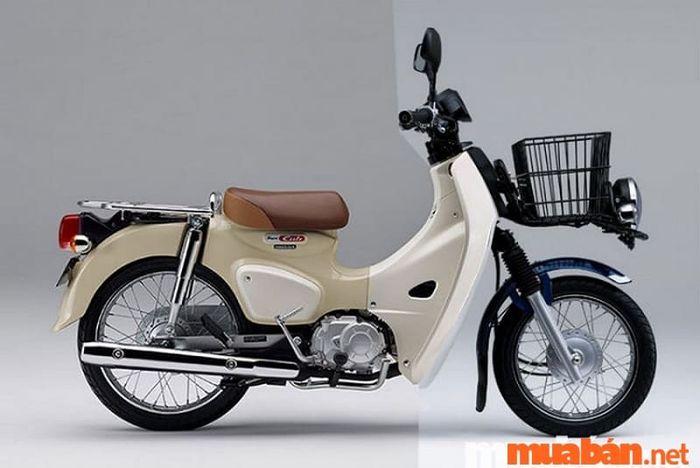 Bao nhiêu tuổi mới được phép lái xe máy 50cc?