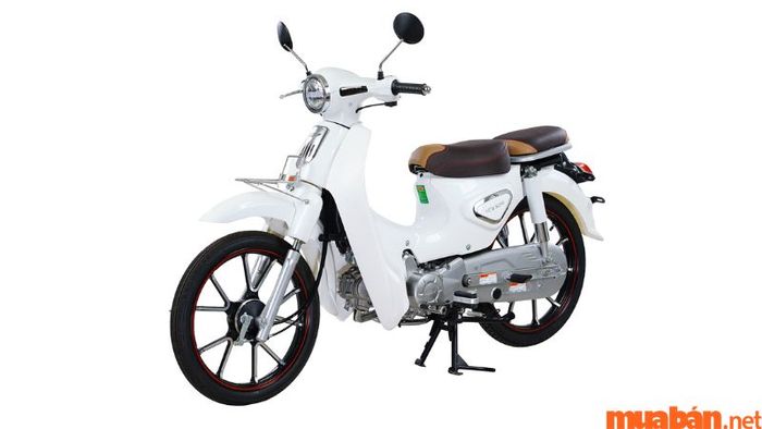 Mẫu xe máy 50cc Cub New Ally 50se