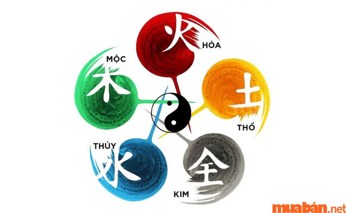 Kim Mộc Thủy Hỏa Thổ là gì?